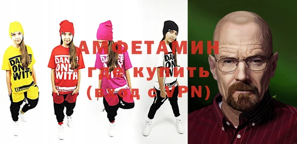 мет Алексин