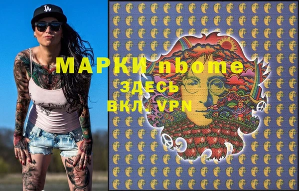 мет Алексин