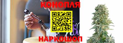 apvp Братск