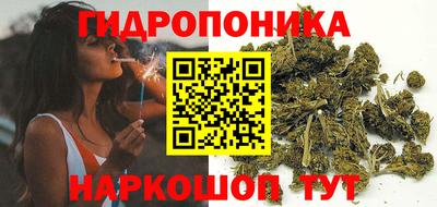 apvp Братск