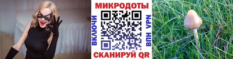 продажа наркотиков  Невинномысск  Галлюциногенные грибы GOLDEN TEACHER 