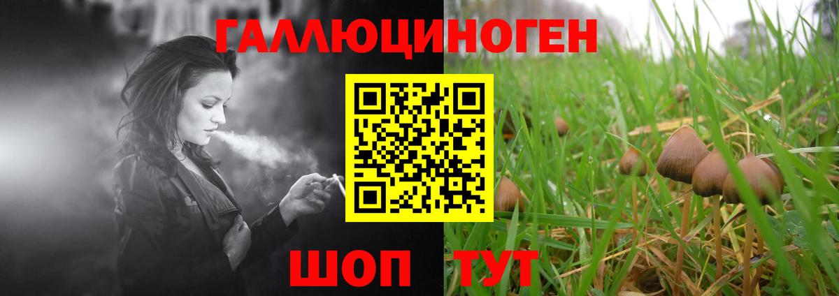 Галлюциногенные грибы Psilocybe  Псилоцибиновые грибы мухоморы  Вход с VPN  Невинномысск 