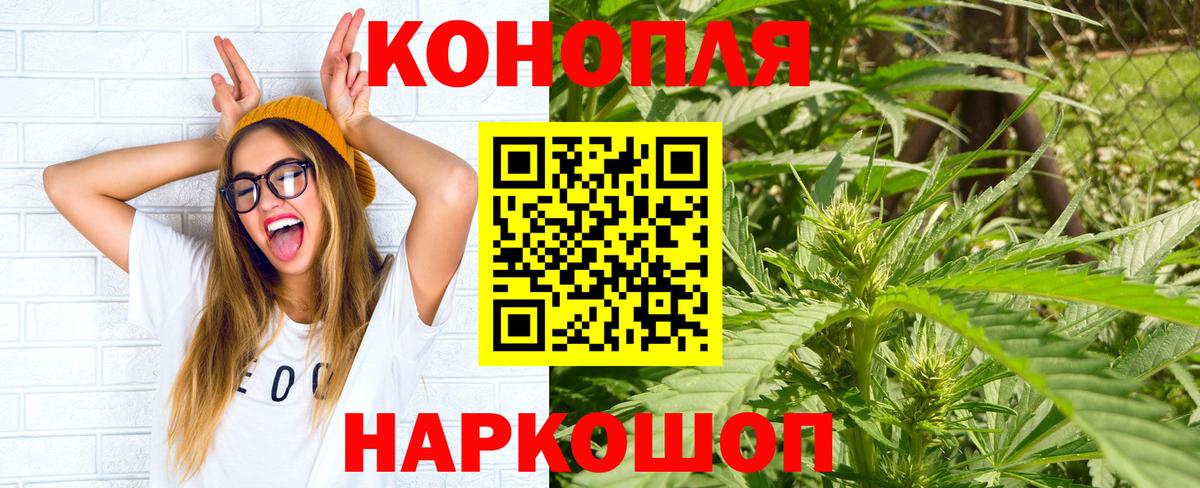 Шишки марихуана сатива  Бошки Шишки MAZAR  Марихуана семена  Невинномысск  Вход с VPN 